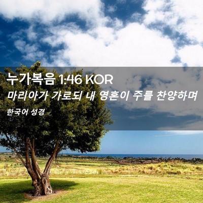 Picture 02 - 누가복음 1:46 KOR - 마리아가 가로되 내 영혼이 주를 - Bible Verse Picture