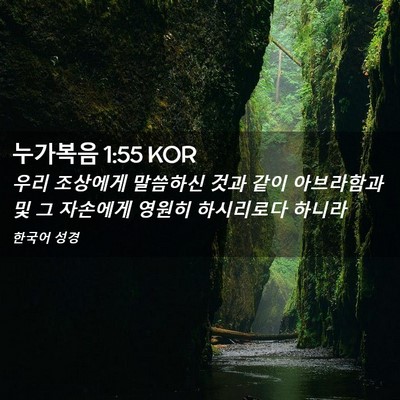Picture 02 - 누가복음 1:55 KOR - 우리 조상에게 말씀하신 것과 같이 - Bible Verse Picture