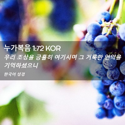 Picture 02 - 누가복음 1:72 KOR - 우리 조상을 긍휼히 여기시며 그 - Bible Verse Picture