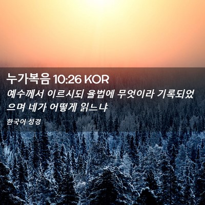 Picture 02 - 누가복음 10:26 KOR - 예수께서 이르시되 율법에 무엇이라 - Bible Verse Picture