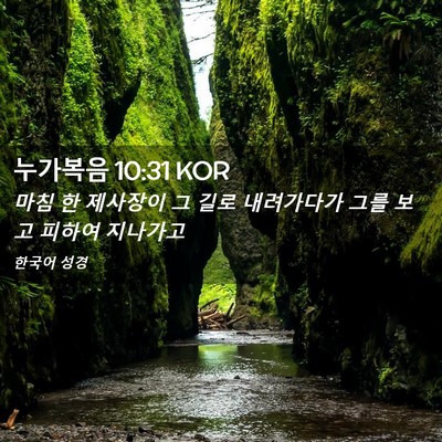 Picture 02 - 누가복음 10:31 KOR - 마침 한 제사장이 그 길로 - Bible Verse Picture