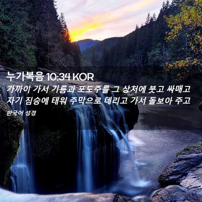 Picture 02 - 누가복음 10:34 KOR - 가까이 가서 기름과 포도주를 그 - Bible Verse Picture