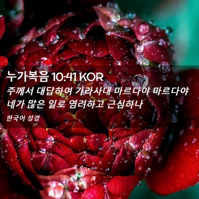 Picture 02 - 누가복음 10:41 KOR - 주께서 대답하여 가라사대 마르다야 - Bible Verse Picture