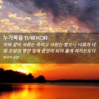 Picture 02 - 누가복음 11:48 KOR - 이와 같이 저희는 죽이고 너희는 - Bible Verse Picture