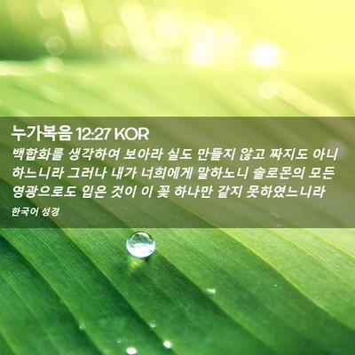 Picture 02 - 누가복음 12:27 KOR - 백합화를 생각하여 보아라 실도 - Bible Verse Picture