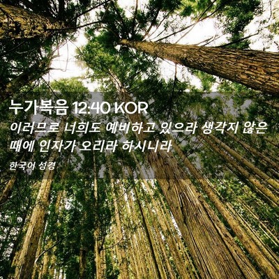Picture 02 - 누가복음 12:40 KOR - 이러므로 너희도 예비하고 있으라 - Bible Verse Picture