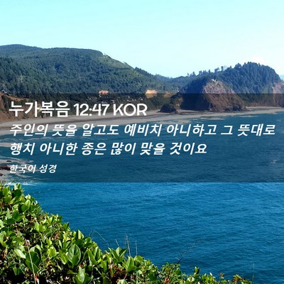 Picture 02 - 누가복음 12:47 KOR - 주인의 뜻을 알고도 예비치 아니하고 - Bible Verse Picture