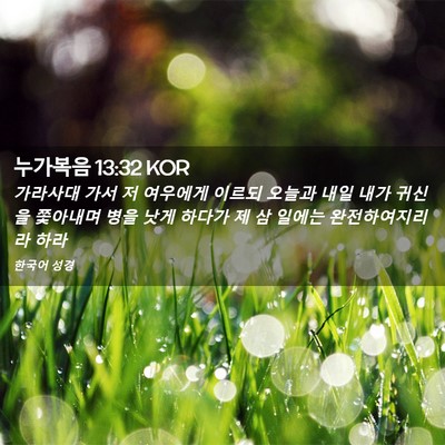 Picture 02 - 누가복음 13:32 KOR - 가라사대 가서 저 여우에게 이르되 - Bible Verse Picture