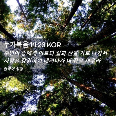 Picture 02 - 누가복음 14:23 KOR - 주인이 종에게 이르되 길과 산울 - Bible Verse Picture