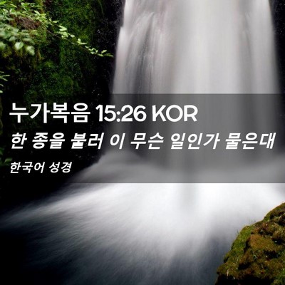 Picture 02 - 누가복음 15:26 KOR - 한 종을 불러 이 무슨 일인가 - Bible Verse Picture
