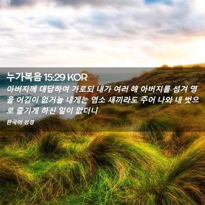 Picture 02 - 누가복음 15:29 KOR - 아버지께 대답하여 가로되 내가 여러 - Bible Verse Picture