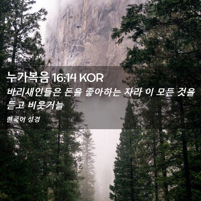 Picture 02 - 누가복음 16:14 KOR - 바리새인들은 돈을 좋아하는 자라 이 - Bible Verse Picture