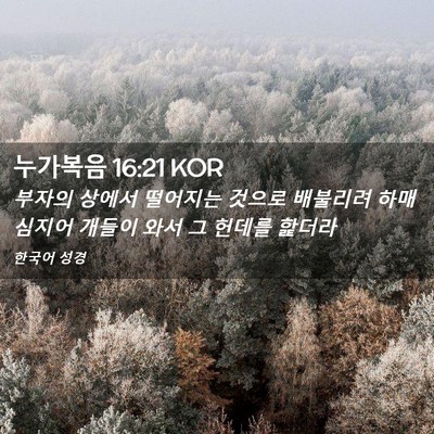 Picture 02 - 누가복음 16:21 KOR - 부자의 상에서 떨어지는 것으로 - Bible Verse Picture