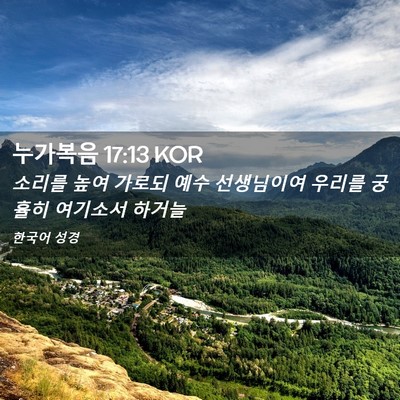 Picture 02 - 누가복음 17:13 KOR - 소리를 높여 가로되 예수 선생님이여 - Bible Verse Picture