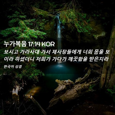 Picture 02 - 누가복음 17:14 KOR - 보시고 가라사대 가서 제사장들에게 - Bible Verse Picture