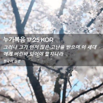 Picture 02 - 누가복음 17:25 KOR - 그러나 그가 먼저 많은 고난을 - Bible Verse Picture