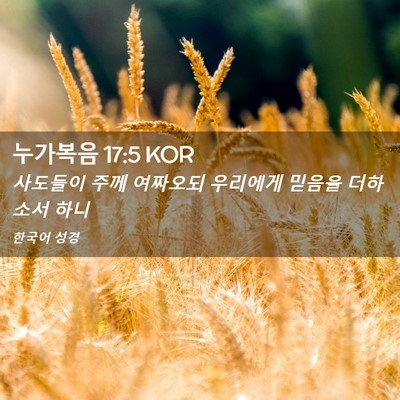 Picture 02 - 누가복음 17:5 KOR - 사도들이 주께 여짜오되 우리에게 - Bible Verse Picture
