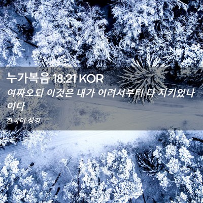 Picture 02 - 누가복음 18:21 KOR - 여짜오되 이것은 내가 어려서부터 다 - Bible Verse Picture