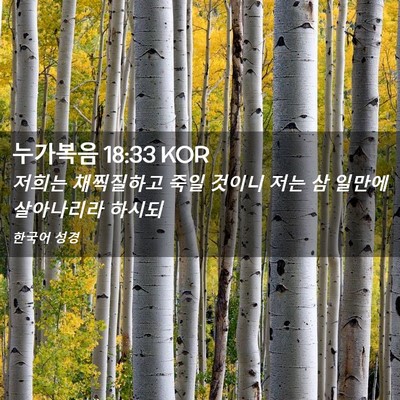 Picture 02 - 누가복음 18:33 KOR - 저희는 채찍질하고 죽일 것이니 저는 - Bible Verse Picture