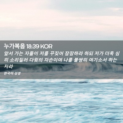 Picture 02 - 누가복음 18:39 KOR - 앞서 가는 자들이 저를 꾸짖어 - Bible Verse Picture