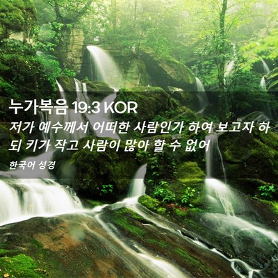 Picture 02 - 누가복음 19:3 KOR - 저가 예수께서 어떠한 사람인가 하여 - Bible Verse Picture