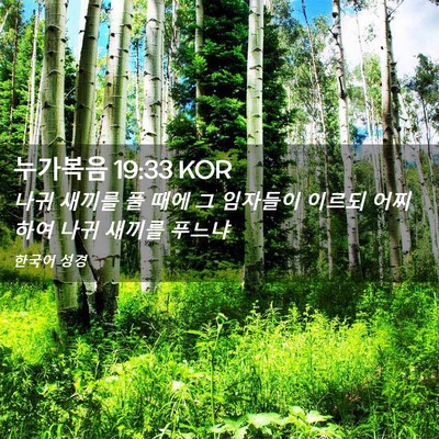 Picture 02 - 누가복음 19:33 KOR - 나귀 새끼를 풀 때에 그 임자들이 - Bible Verse Picture