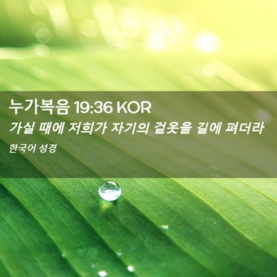Picture 02 - 누가복음 19:36 KOR - 가실 때에 저희가 자기의 겉옷을 - Bible Verse Picture
