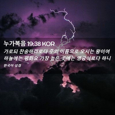 Picture 02 - 누가복음 19:38 KOR - 가로되 찬송하리로다 주의 이름으로 - Bible Verse Picture