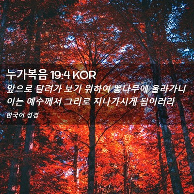 Picture 02 - 누가복음 19:4 KOR - 앞으로 달려가 보기 위하여 뽕나무에 - Bible Verse Picture