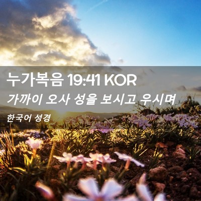 Picture 02 - 누가복음 19:41 KOR - 가까이 오사 성을 보시고 - Bible Verse Picture