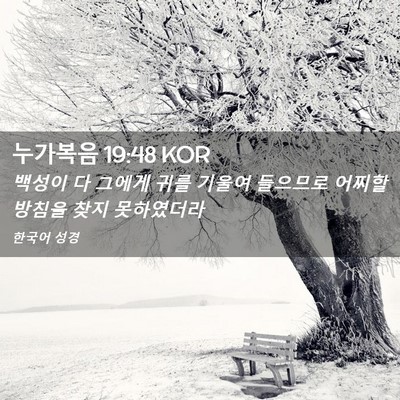 Picture 02 - 누가복음 19:48 KOR - 백성이 다 그에게 귀를 기울여 - Bible Verse Picture