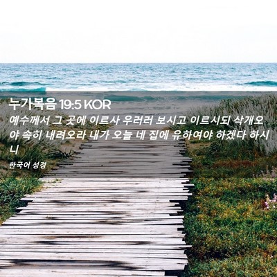 Picture 02 - 누가복음 19:5 KOR - 예수께서 그 곳에 이르사 우러러 - Bible Verse Picture