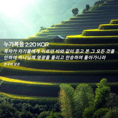 Picture 02 - 누가복음 2:20 KOR - 목자가 자기들에게 이르던 바와 같이 - Bible Verse Picture