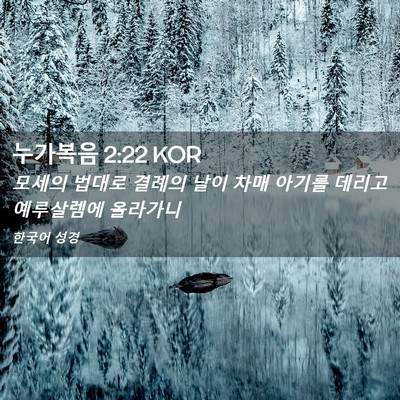Picture 02 - 누가복음 2:22 KOR - 모세의 법대로 결례의 날이 차매 - Bible Verse Picture