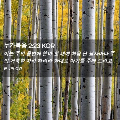 Picture 02 - 누가복음 2:23 KOR - 이는 주의 율법에 쓴바 첫 태에 처음 - Bible Verse Picture