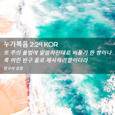 Picture 02 - 누가복음 2:24 KOR - 또 주의 율법에 말씀하신대로 비둘기 - Bible Verse Picture
