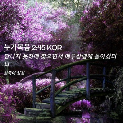 Picture 02 - 누가복음 2:45 KOR - 만나지 못하매 찾으면서 예루살렘에 - Bible Verse Picture