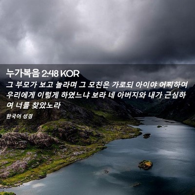 Picture 02 - 누가복음 2:48 KOR - 그 부모가 보고 놀라며 그 모친은 - Bible Verse Picture