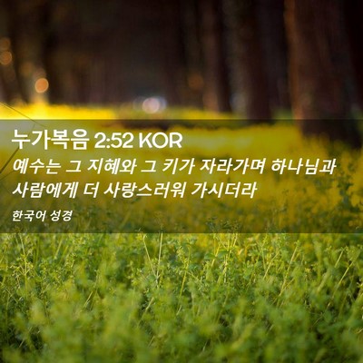 Picture 02 - 누가복음 2:52 KOR - 예수는 그 지혜와 그 키가 자라가며 - Bible Verse Picture
