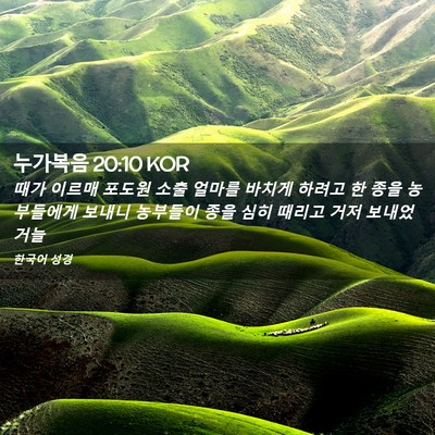 Picture 02 - 누가복음 20:10 KOR - 때가 이르매 포도원 소출 얼마를 - Bible Verse Picture