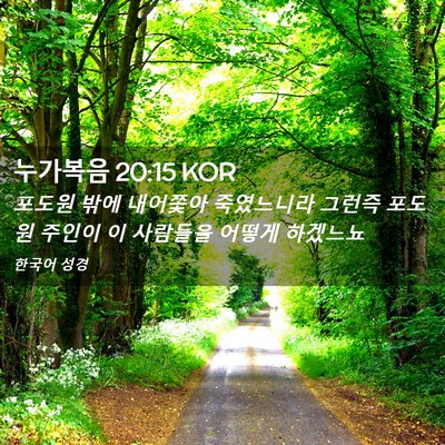 Picture 02 - 누가복음 20:15 KOR - 포도원 밖에 내어쫓아 죽였느니라 - Bible Verse Picture