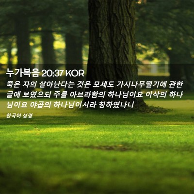 Picture 02 - 누가복음 20:37 KOR - 죽은 자의 살아난다는 것은 모세도 - Bible Verse Picture
