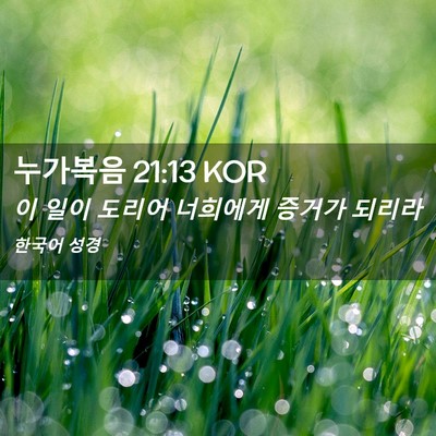 Picture 02 - 누가복음 21:13 KOR - 이 일이 도리어 너희에게 증거가 - Bible Verse Picture
