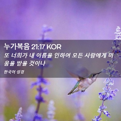 Picture 02 - 누가복음 21:17 KOR - 또 너희가 내 이름을 인하여 모든 - Bible Verse Picture