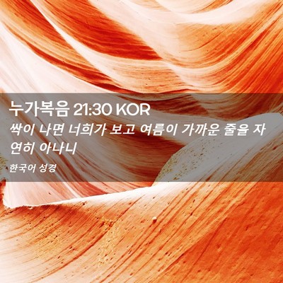Picture 02 - 누가복음 21:30 KOR - 싹이 나면 너희가 보고 여름이 - Bible Verse Picture