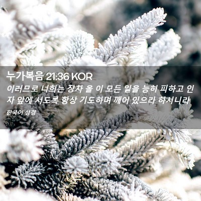 Picture 02 - 누가복음 21:36 KOR - 이러므로 너희는 장차 올 이 모든 - Bible Verse Picture