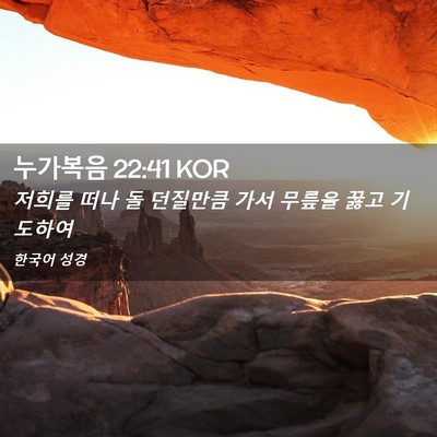 Picture 02 - 누가복음 22:41 KOR - 저희를 떠나 돌 던질만큼 가서 - Bible Verse Picture