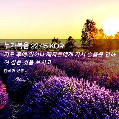 Picture 02 - 누가복음 22:45 KOR - 기도 후에 일어나 제자들에게 가서 - Bible Verse Picture