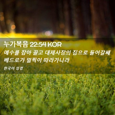 Picture 02 - 누가복음 22:54 KOR - 예수를 잡아 끌고 대제사장의 집으로 - Bible Verse Picture