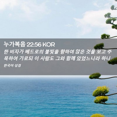 Picture 02 - 누가복음 22:56 KOR - 한 비자가 베드로의 불빛을 향하여 - Bible Verse Picture